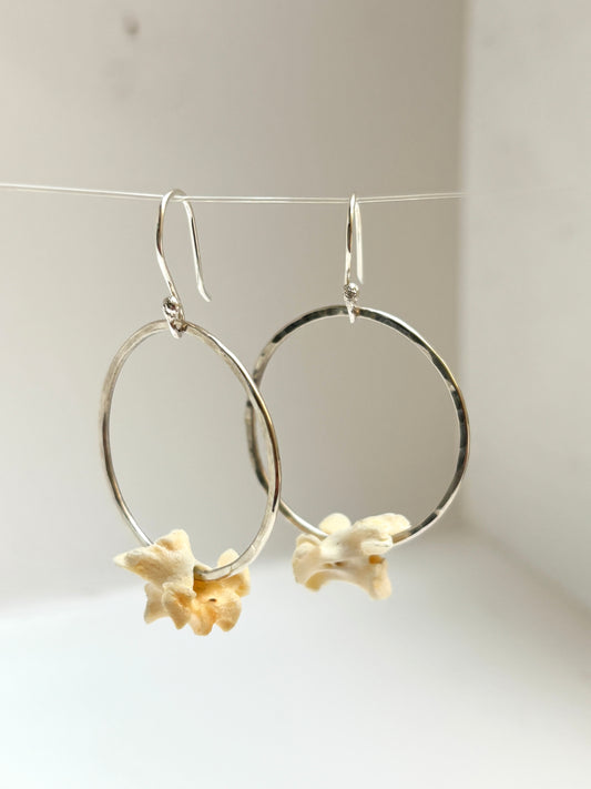 Vertebrae Hoops