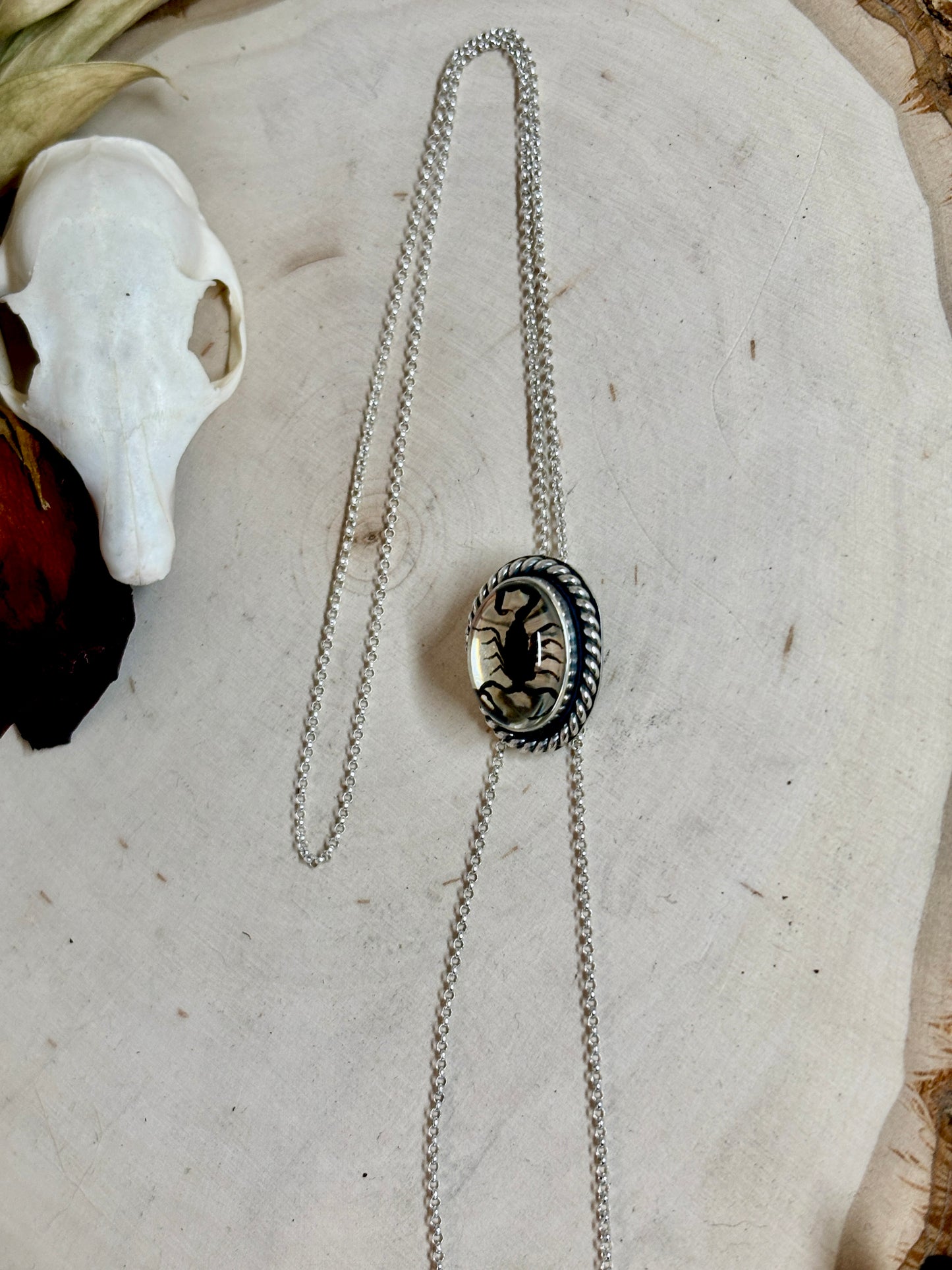 Scorpion Slider Bolo