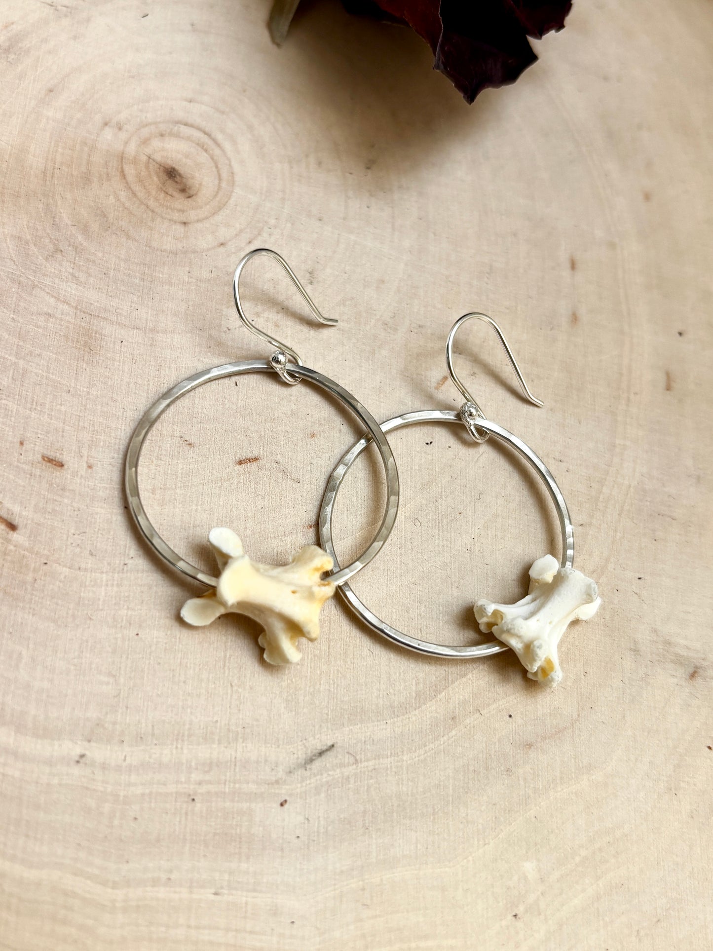 Vertebrae Hoops