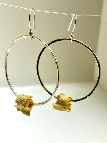 Vertebrae Hoops