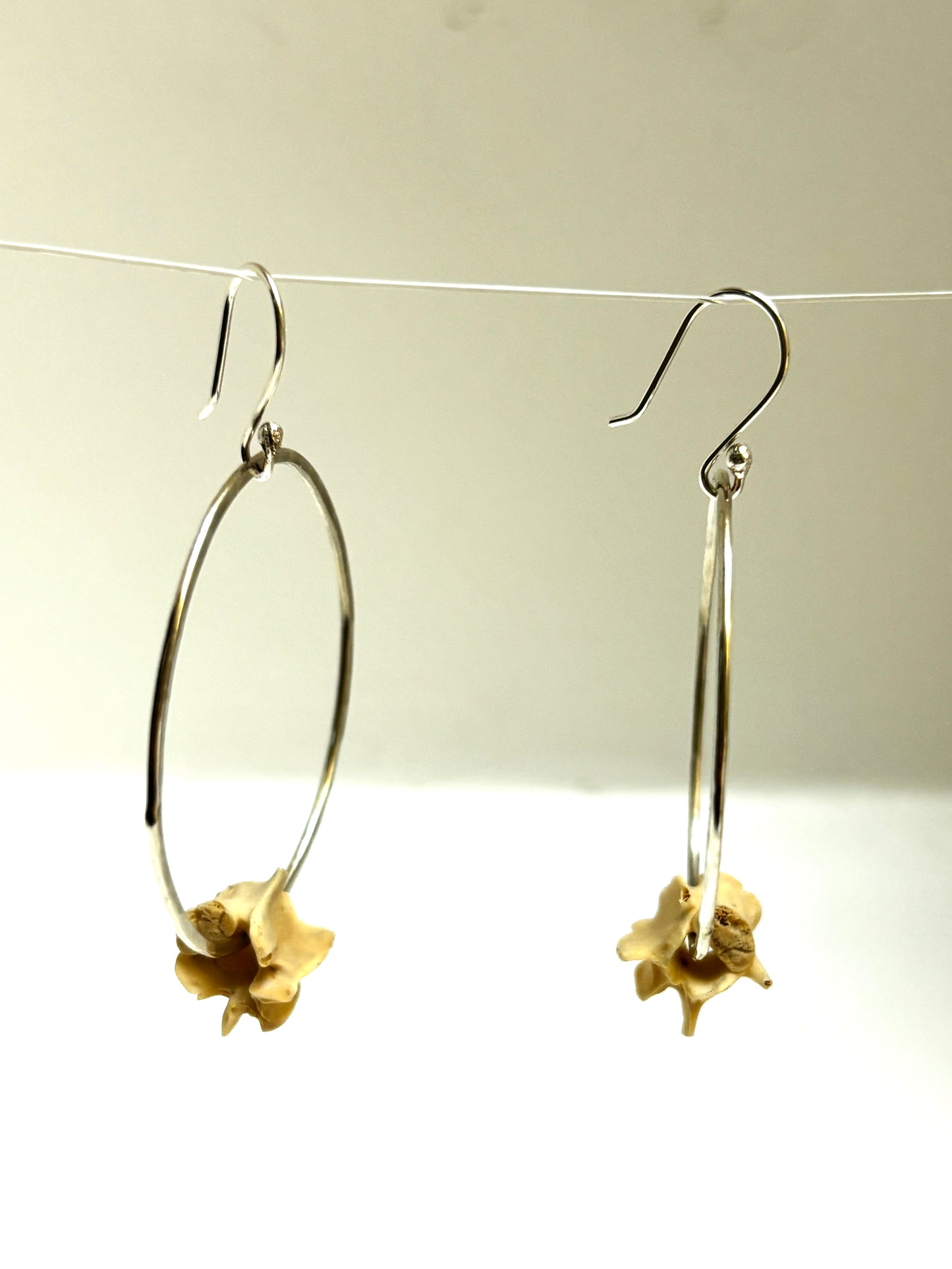 Vertebrae Hoops