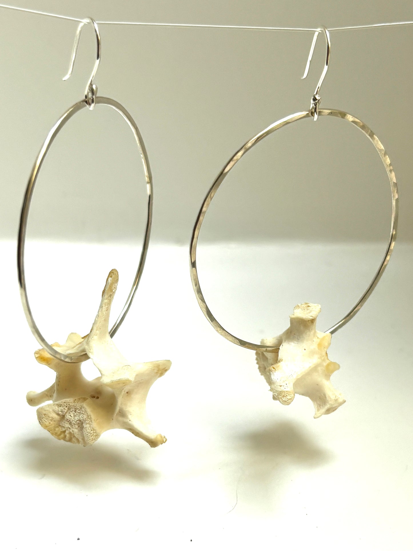 Vertebrae Hoops