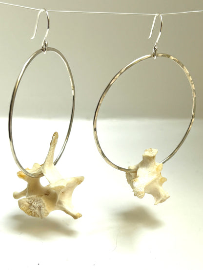 Vertebrae Hoops