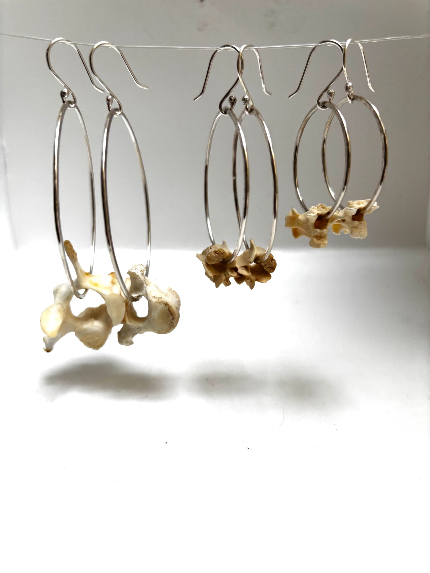 Vertebrae Hoops