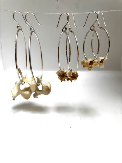 Vertebrae Hoops