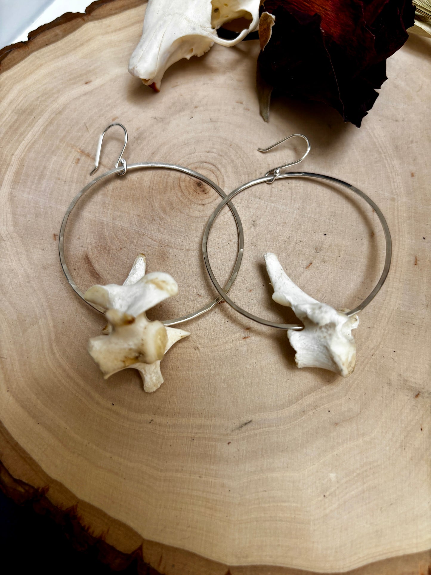 Vertebrae Hoops