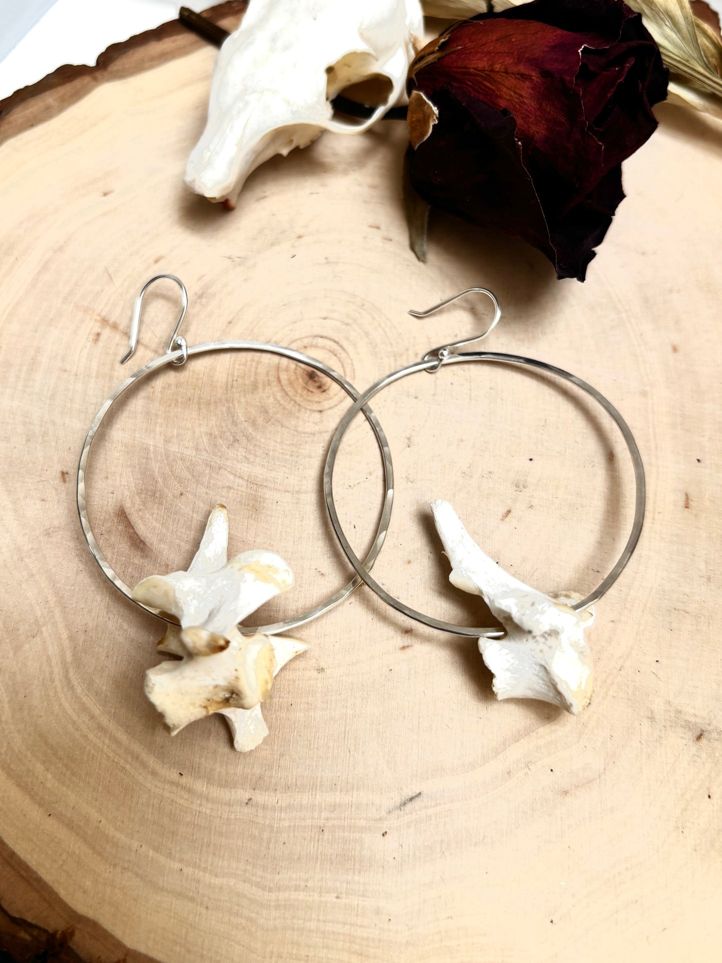 Vertebrae Hoops
