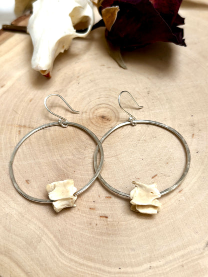 Vertebrae Hoops