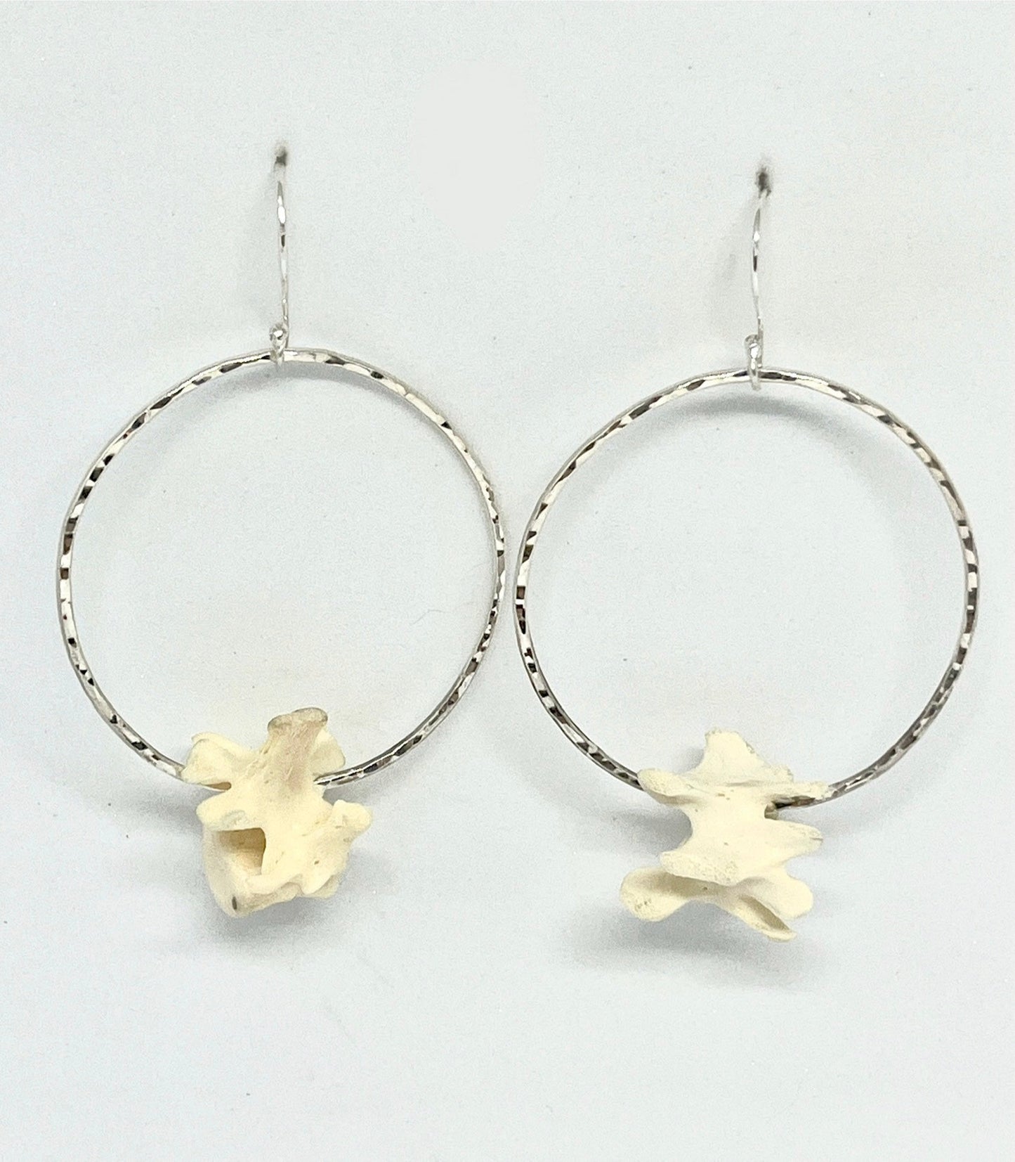Vertebrae Hoops