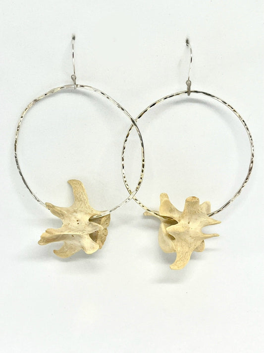 Vertebrae Hoops