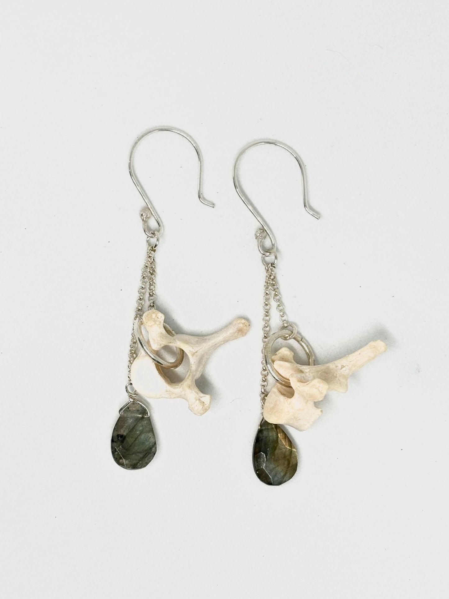Labradorite and Vertebrae Earrings