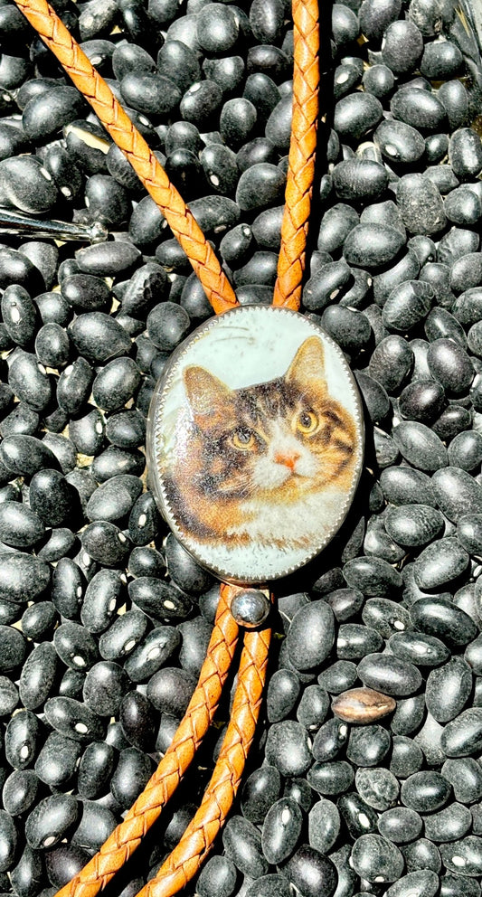 Brown Cat Bolo