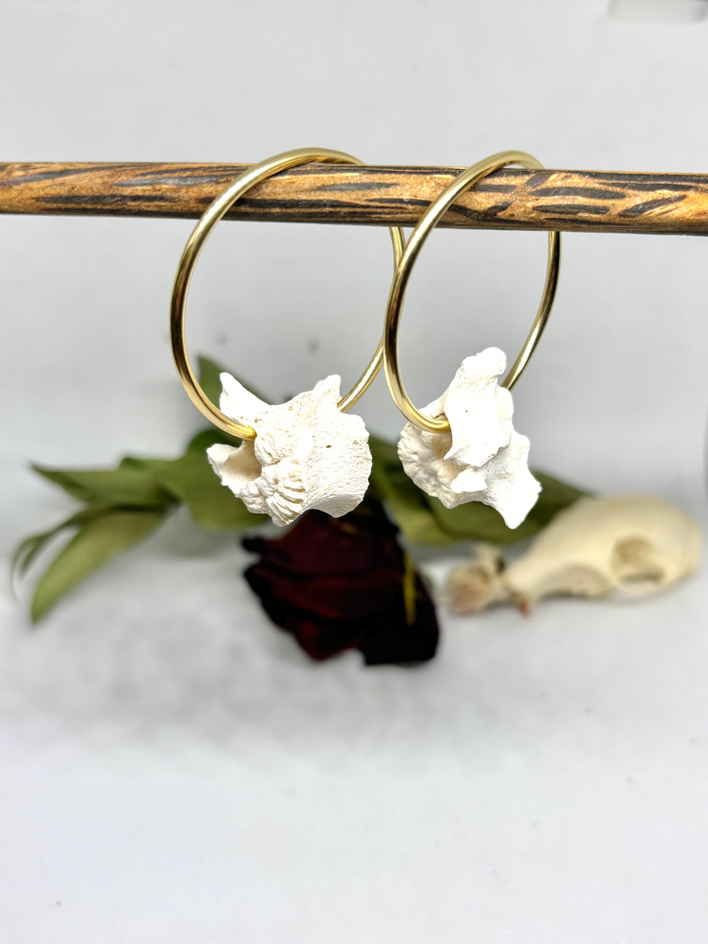 Brass Vertebrae Hangers