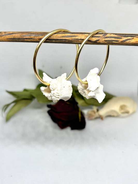 Brass Vertebrae Hangers