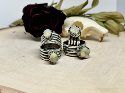Tooth Ring